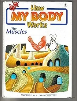 How My Body Works The Muscles